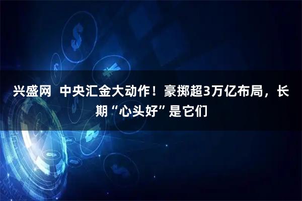兴盛网  中央汇金大动作！豪掷超3万亿布局，长期“心头好”是它们